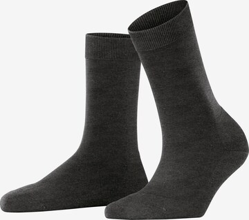 FALKE Socken 'ClimaWool' in Grau: Vorderseite