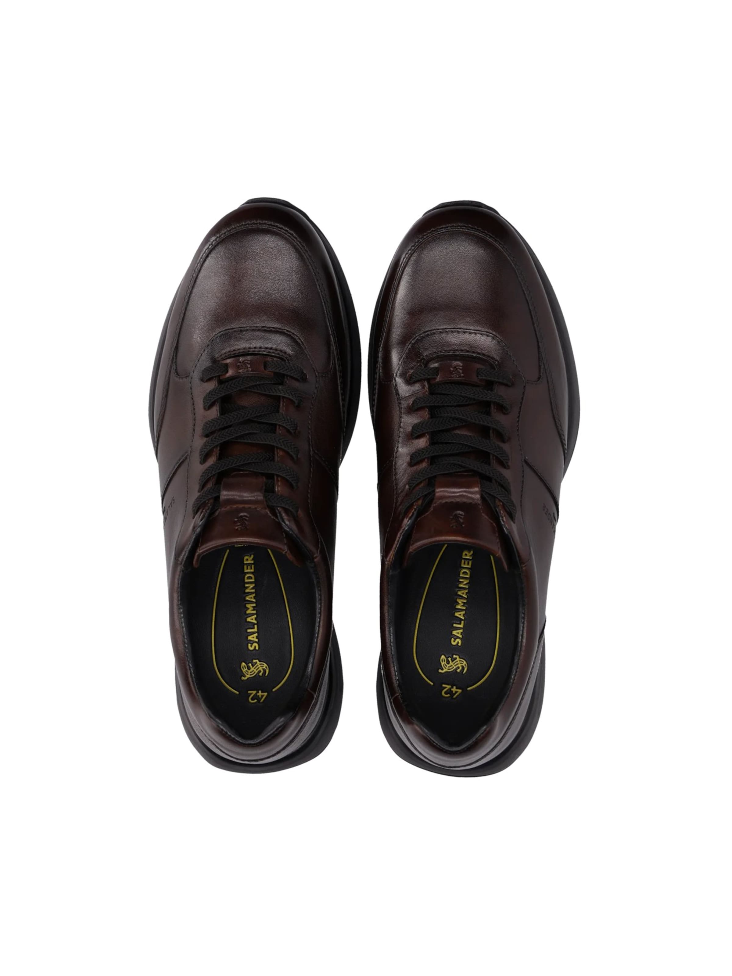 SALAMANDER - Zapatillas deportivas bajas en marrón