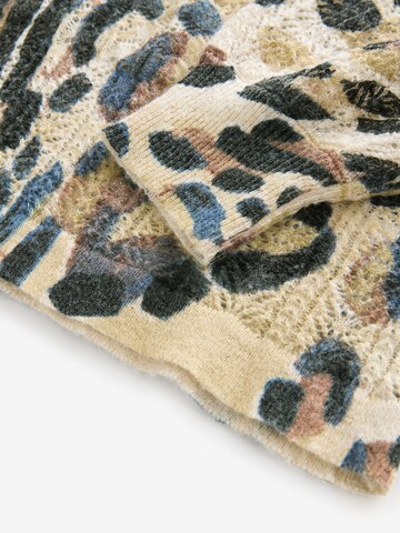 Next Sweater in Mixed colors