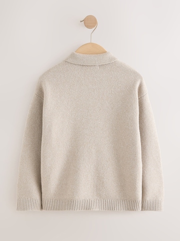 Next Gebreid vest in Beige