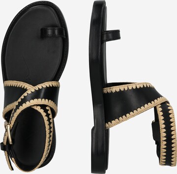 Flip-flops 'NAYA' de la 3.1 Phillip Lim pe negru