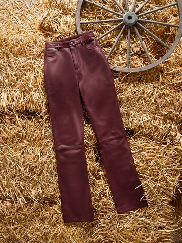 Kendall for ABOUT YOU Boot cut Trousers 'Dita' in Brown