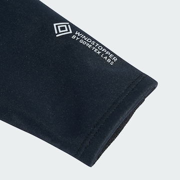 Gants de sport 'Xperior' ADIDAS TERREX en noir