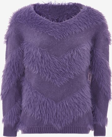 Pull-over caspio en violet : devant