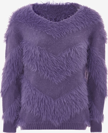 caspio Sweater in Purple: front