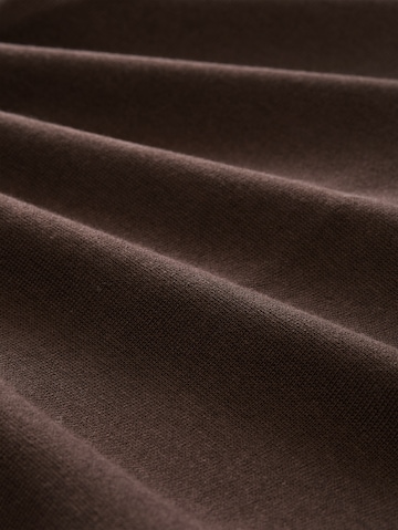 TOM TAILOR Sweater in Brown