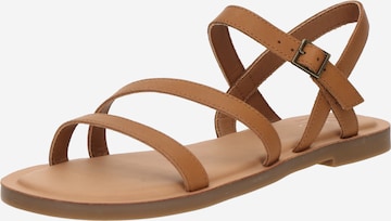 brūns TOMS Siksniņsandales 'KIRA': no priekšpuses