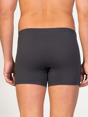 zd ZERO DEFECTS Boxershorts 'Breno MicroModal® Boxer' in Grijs