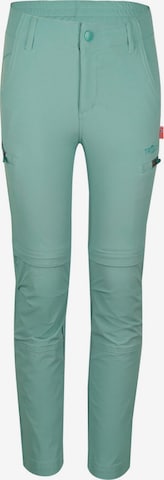 TROLLKIDS Workout Pants in Green: front