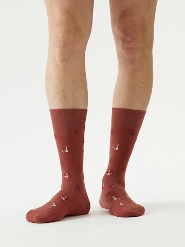 Von Jungfeld Socken 'Herbst Icons' in Rot