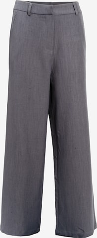 pilka Influencer Plačios klešnės Kelnės: priekis