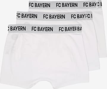 FC BAYERN MÜNCHEN Boxershorts 'Essential' in Weiß: Vorderseite