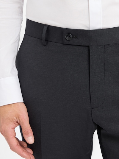 HECHTER PARIS Pleated Pants in Anthracite, Item view