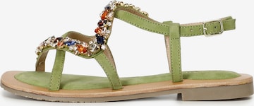 Sandalo con cinturino di CAFè NOIR in verde: frontale