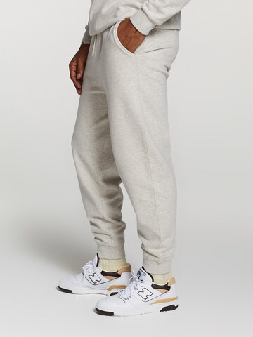 Shiwi Tapered Broek in Grijs