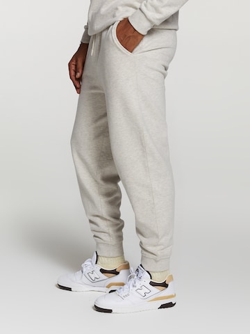 Tapered Pantaloni di Shiwi in grigio