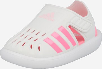 Claquettes / Tongs ADIDAS SPORTSWEAR en blanc : devant