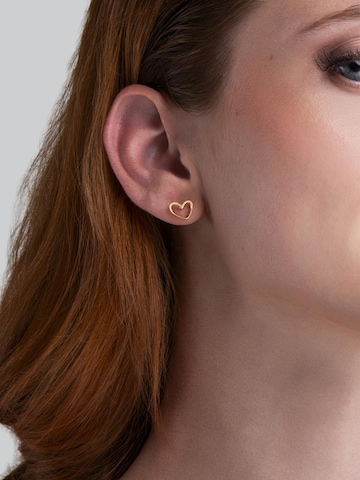 Amberz Oorbellen 'Ame' in Goud