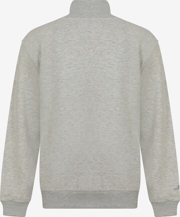 Sweat-shirt 'Tatiana' DENIM CULTURE en beige