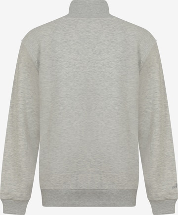 Sweat-shirt 'Tatiana' DENIM CULTURE en beige