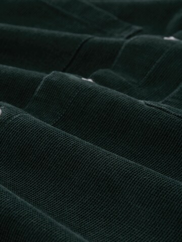 TOM TAILOR DENIM Regular fit Overhemd in Groen