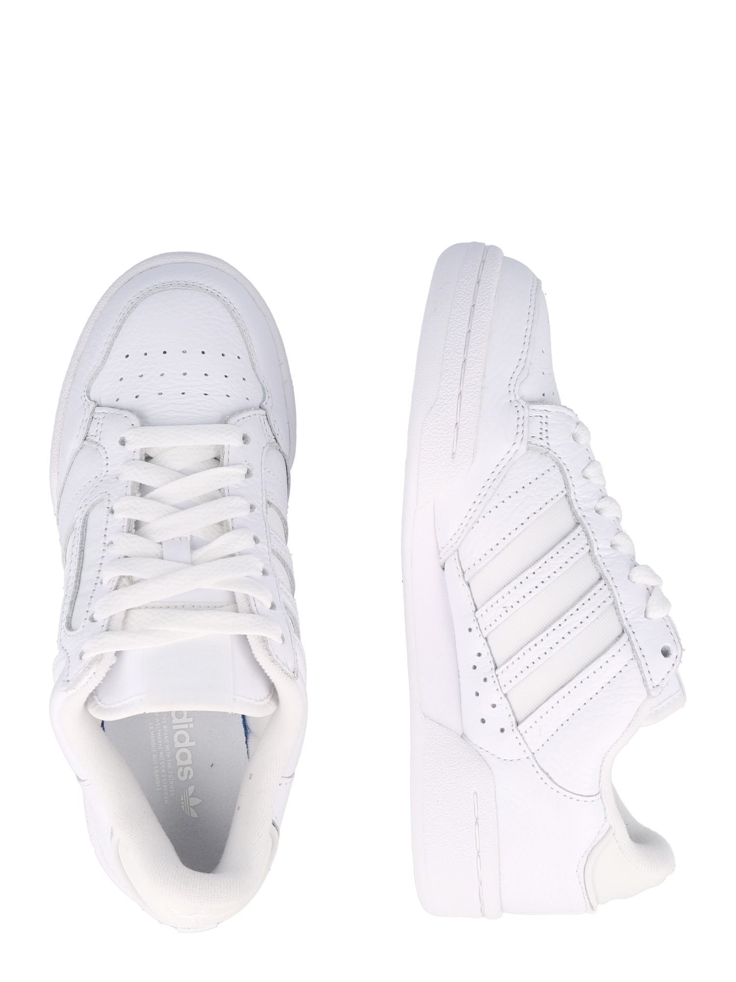 Sneakers Scarpe ADIDAS ORIGINALS Sneaker bassa Continental 80 in Bianco 