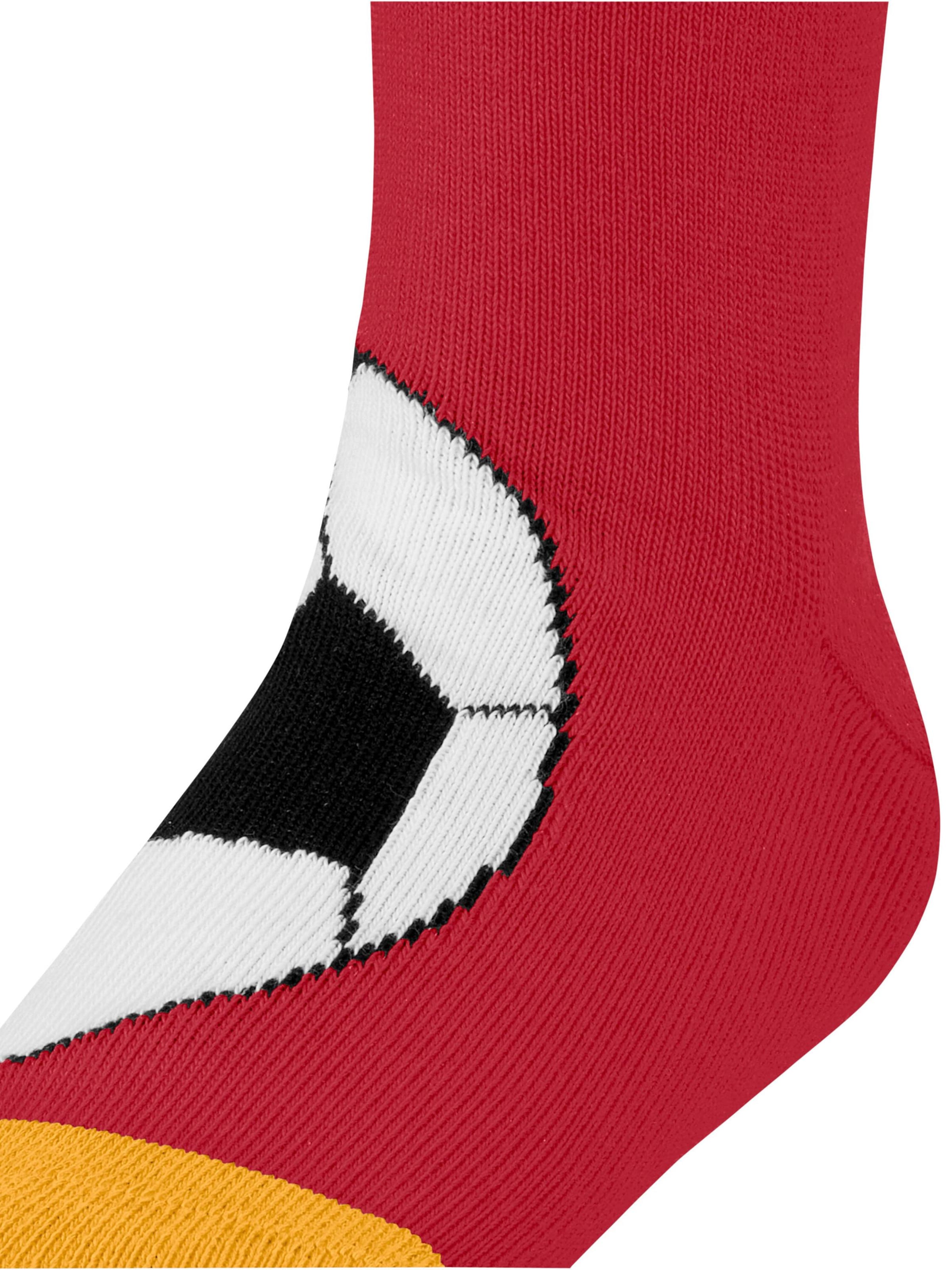 FALKE Socks 'Active Soccer' in Red