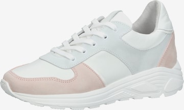 Sneaker bassa di Steven New York in bianco: frontale