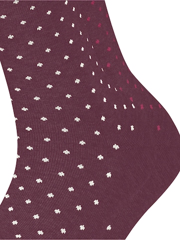 ESPRIT Socken 'Fine Dot 2-Pack' in Rot: Vorderseite