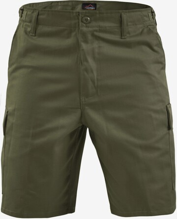 Regular Pantalon fonctionnel 'Dasht' normani en vert : devant