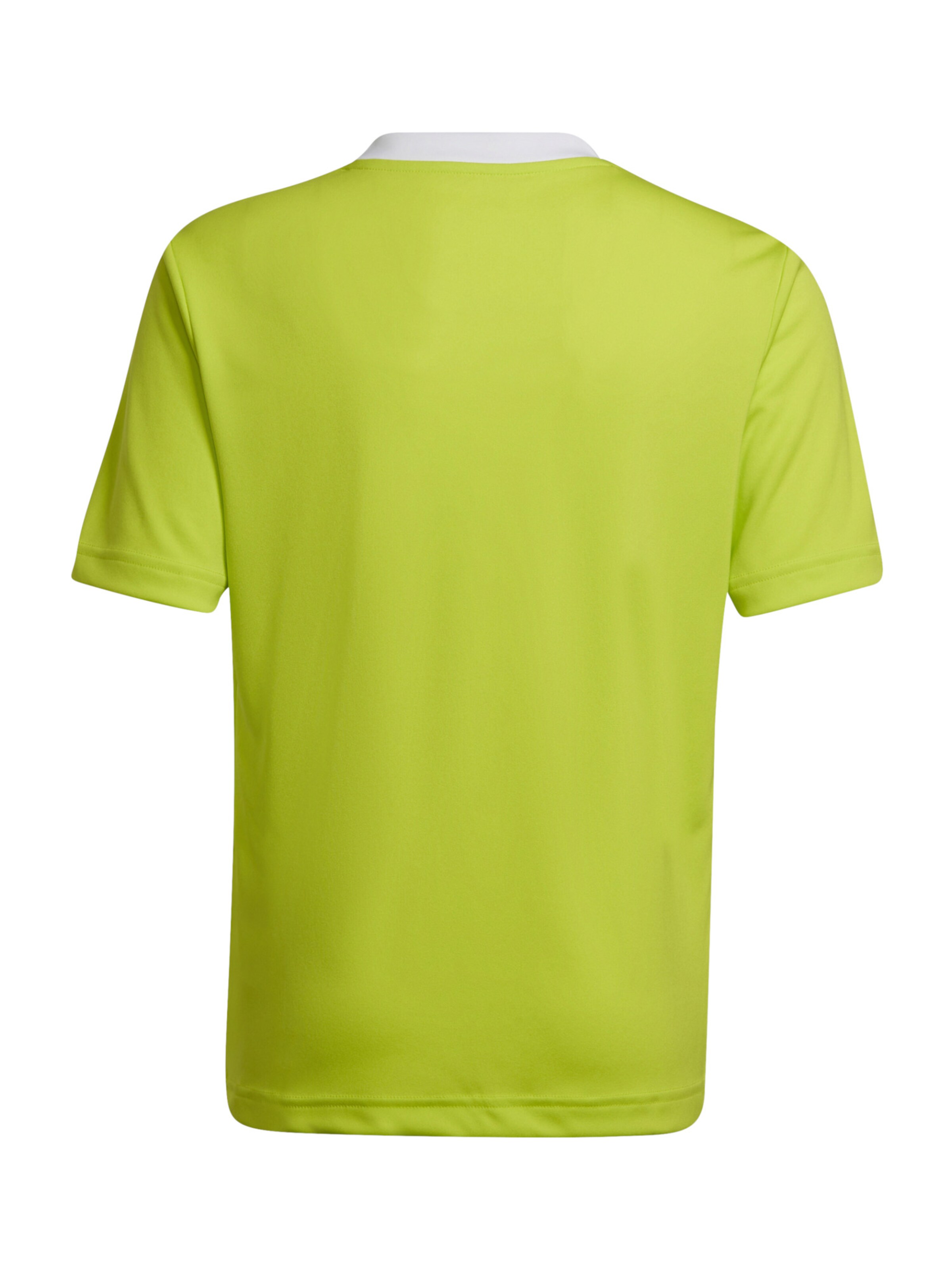 T-Shirt fonctionnel 'Entrada 22' ADIDAS PERFORMANCE en vert
