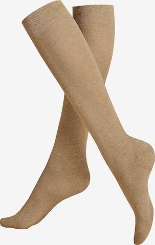Chaussettes montantes 'Fly&Care®' KUNERT en beige : devant