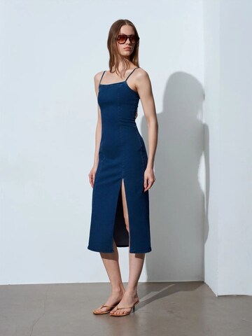 Dilvin Dress in Blue: front