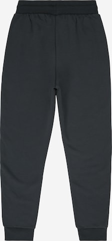 ADIDAS ORIGINALS Tapered Broek 'Adicolor' in Zwart