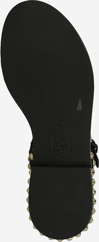 ASH T-Bar Sandals 'PAROS' in Black