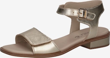 CAPRICE Sandals in Beige: front