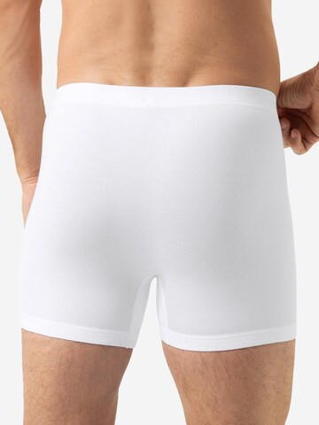 Mey Boxer shorts 'Softball' in White