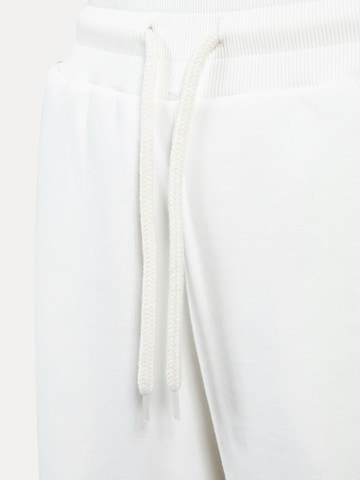 Effilé Pantalon Smilodox en blanc