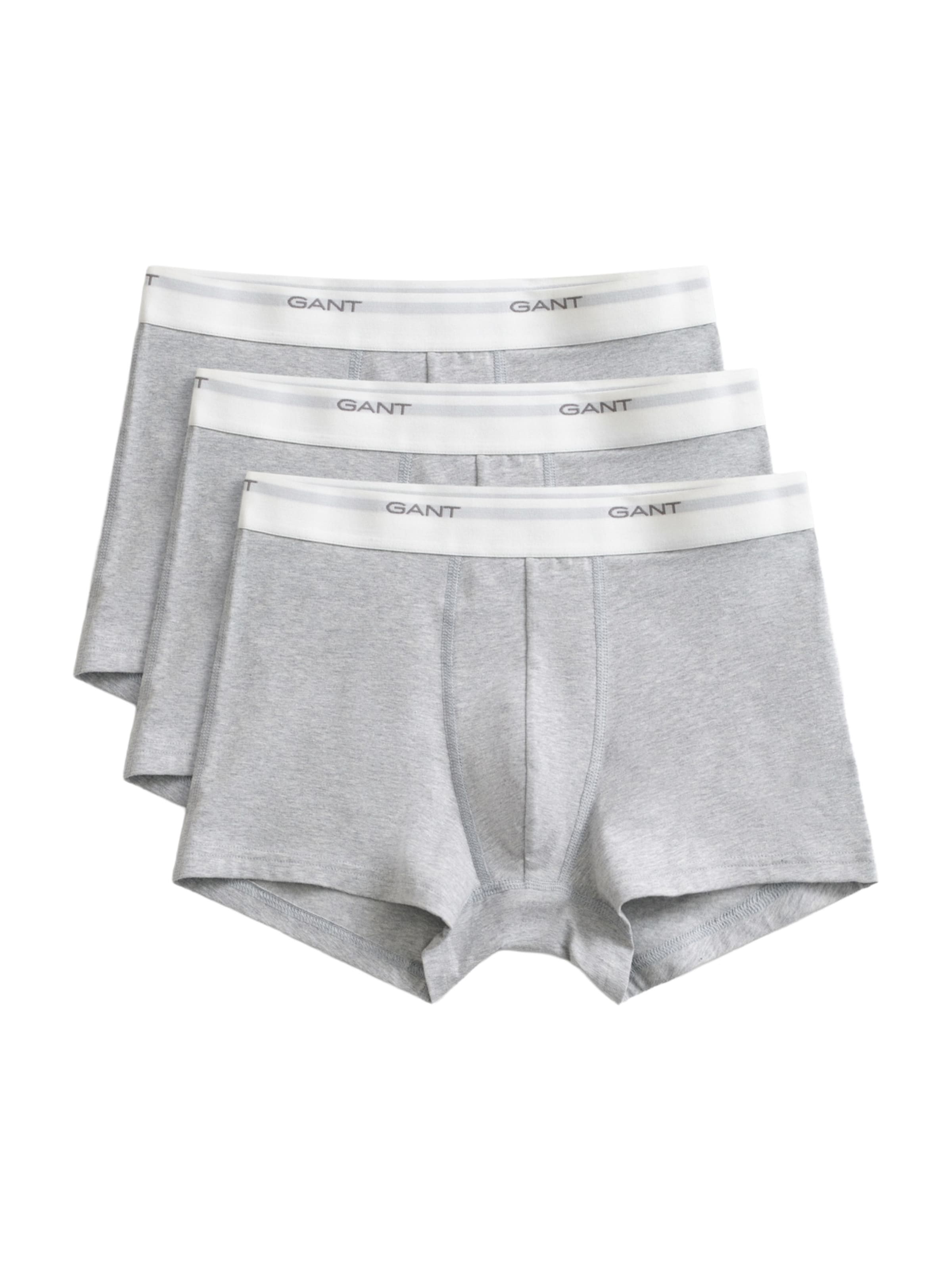 GANT Boxer shorts in Grey: front