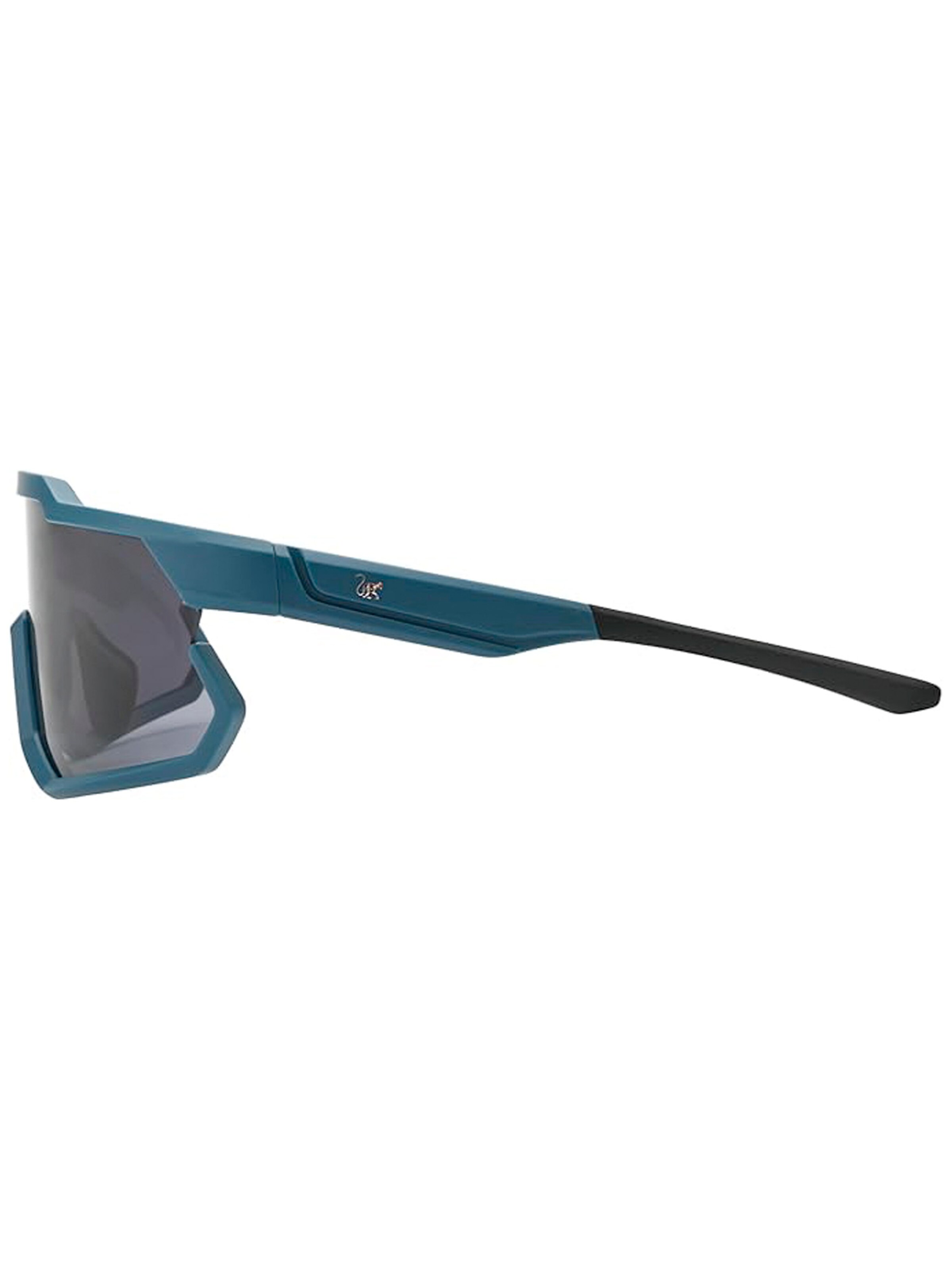 Surf Monkey Sports Sunglasses in Blue