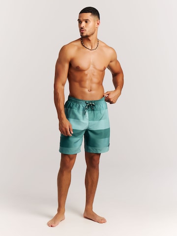 PROTEST Badeshorts 'PRTLomond'‌‌‌ in Grün