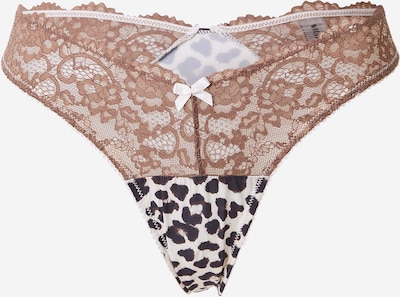 WILD LOVERS Stringit 'ANOUK' värissä kerma / mokka / tummanruskea, Tuotenäkymä