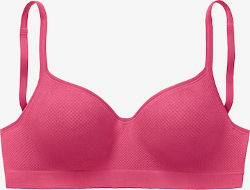 LASCANA Push-up Bra in Pink: front