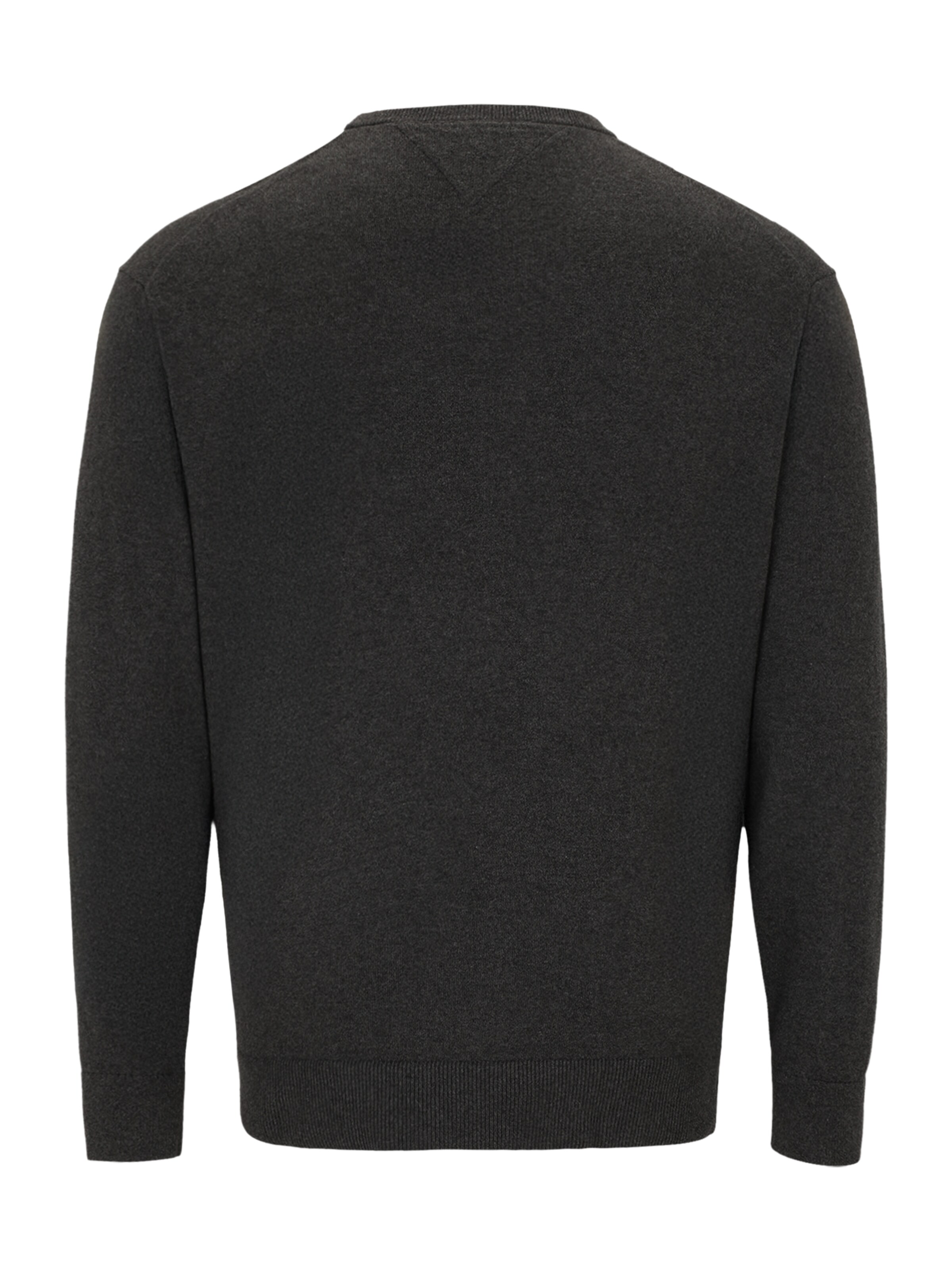 Tommy Hilfiger Big & Tall Pullover i grå