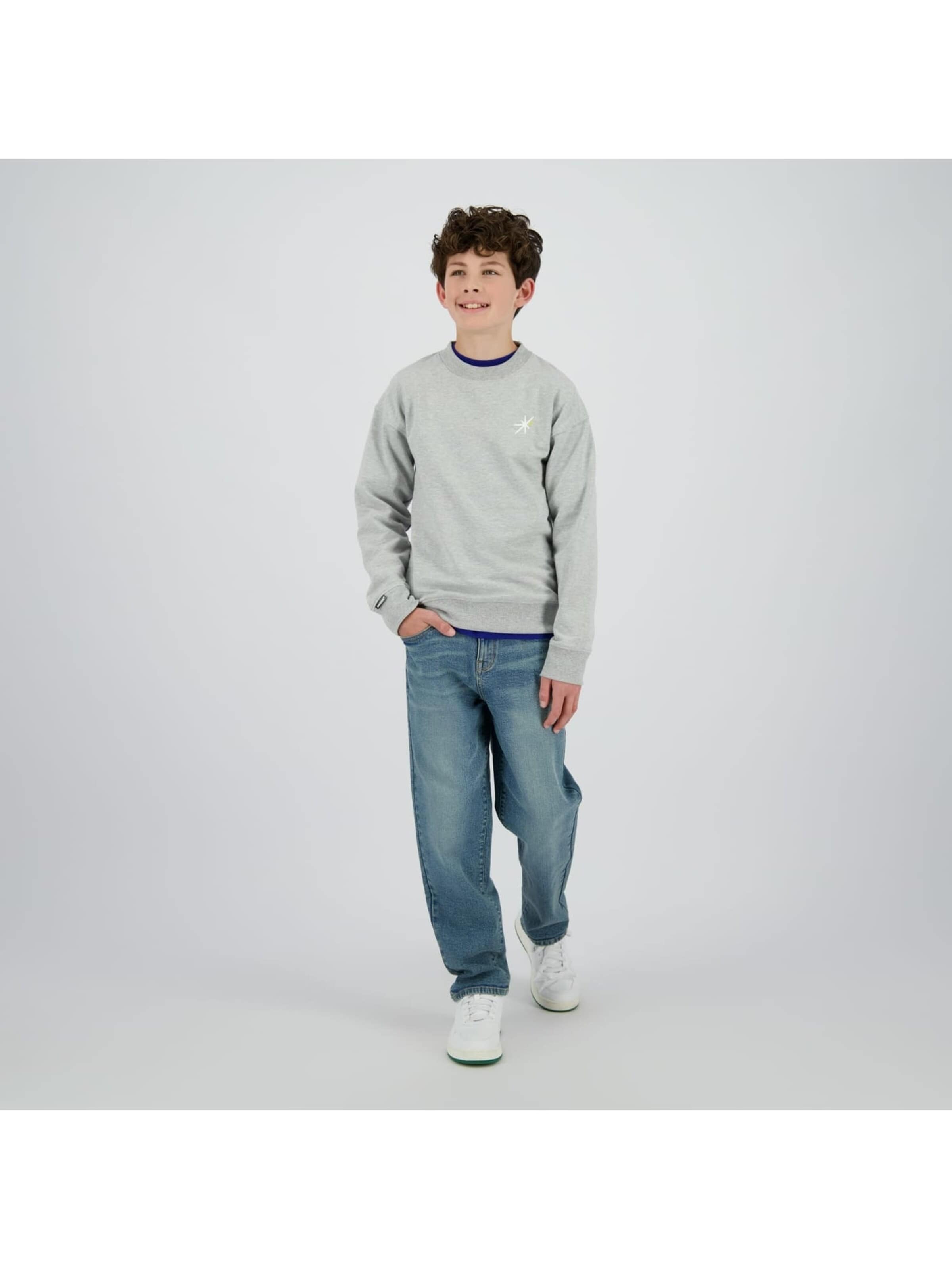 Raizzed Sweater in Grey