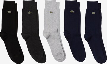 Chaussettes LACOSTE en gris