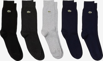 LACOSTE Socks in Grey