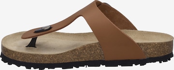 JOSEF SEIBEL T-Bar Sandals in Brown: front