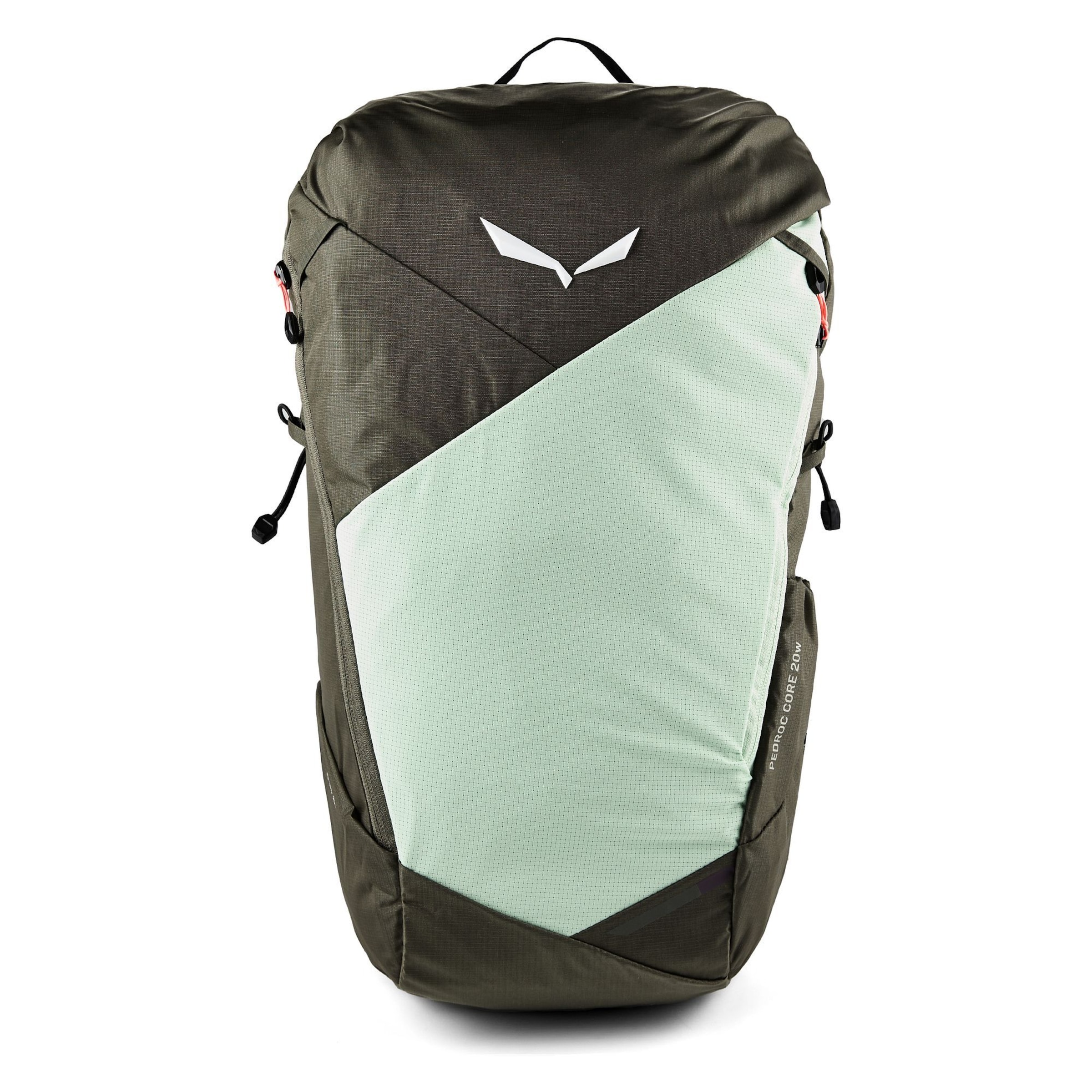Sac à dos de sport 'Pedroc Core ' SALEWA en vert : devant