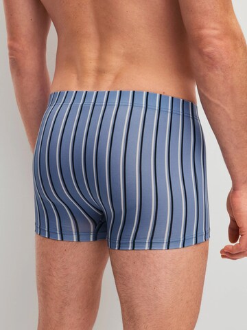 CALIDA Boxer shorts 'Grafic Cotton' in Blue